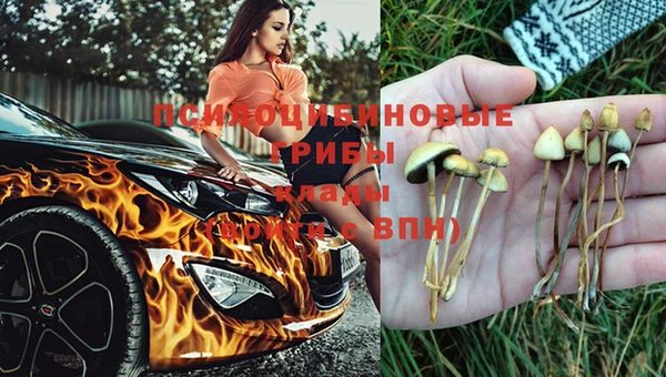 мяу мяу мука Алзамай